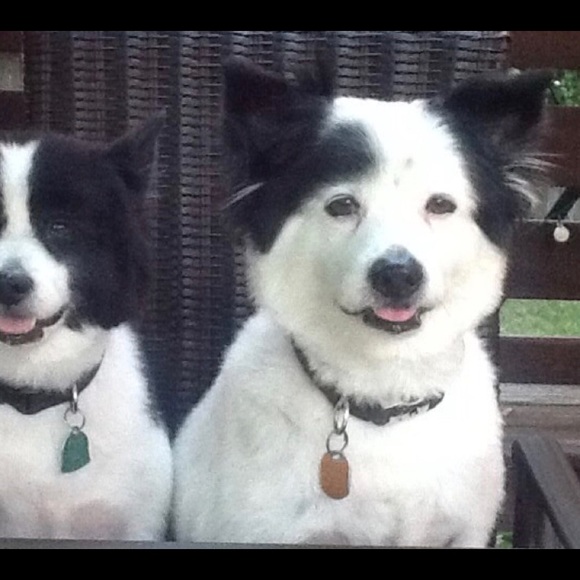 Meet your Posher, Paula - Picture 4 of 12